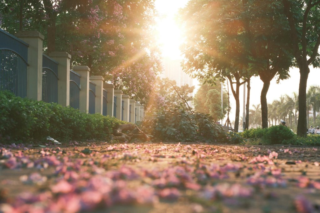 Rediscovering Myself in Motherhood