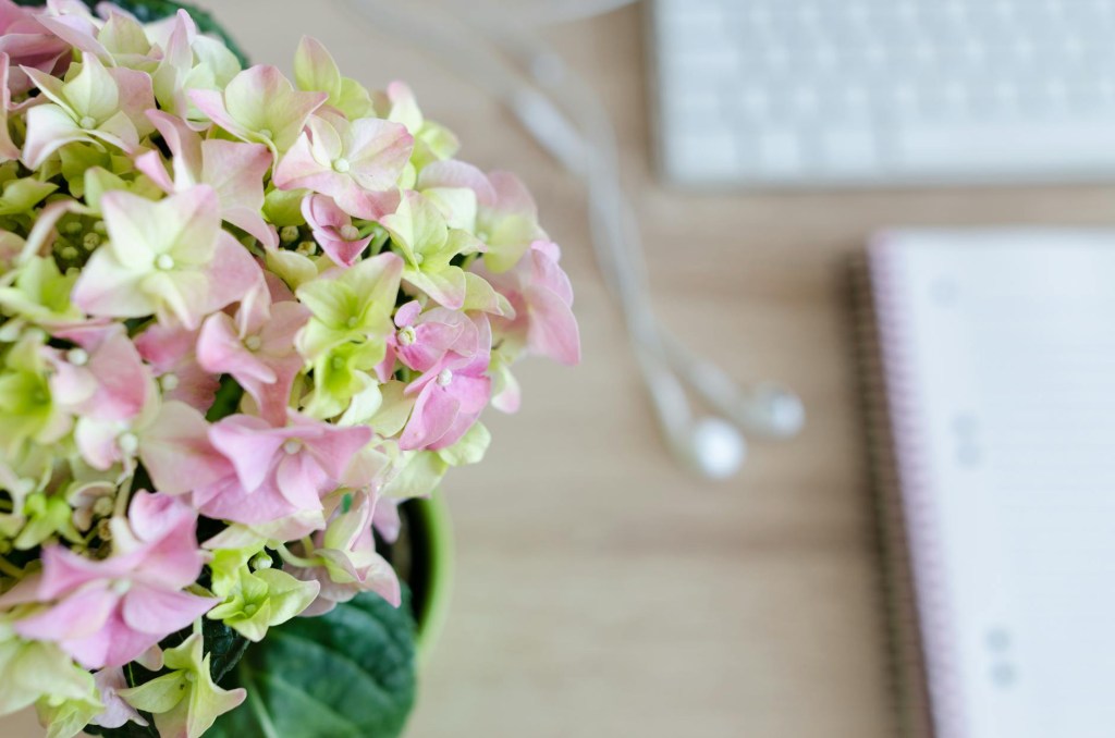 Close up of flowers with blurred office set up in the background