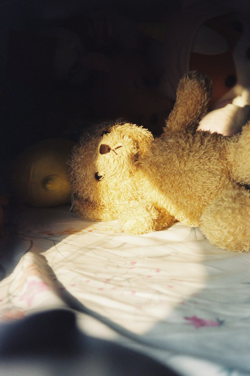 Light shining onto a teddy bear